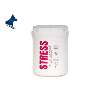 Stress Schutzengel - Kräuter Vitalpilz Mischung (100g)