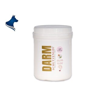 Darm Schutzengel - Kräuter Vitalpilz Mischung (100g)