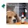 PHA WURM für Hunde u. Katzen (50ml)