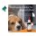 PHA WURM für Hunde u. Katzen (50ml)