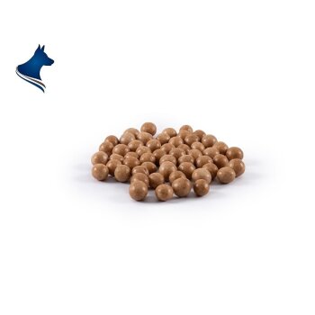 Crispy Balls braun - Carob und Seealge (150g)