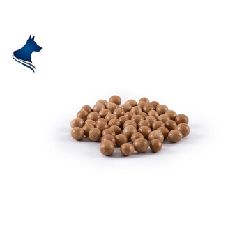 Crispy Balls braun - Carob und Seealge (150g)