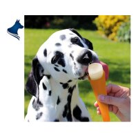 Hunde Eis Lollie (1 St&uuml;ck)