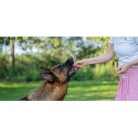 RiNa Snack-Riegel 30g