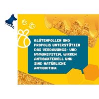 RiNa Bee Booster (30g)