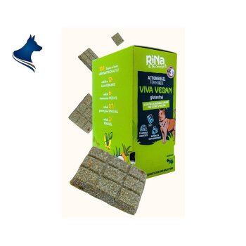 RiNa Viva Vegan (300g)