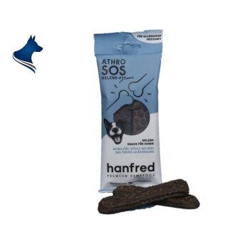Arthro SOS Gelenk Fit Snack (65g)