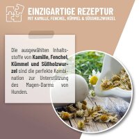 Magen & Darm Tropfen (100ml)