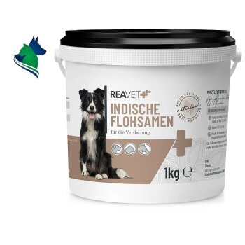 Indische Flohsamen (1kg)