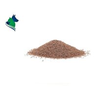 Indische Flohsamen (1kg)