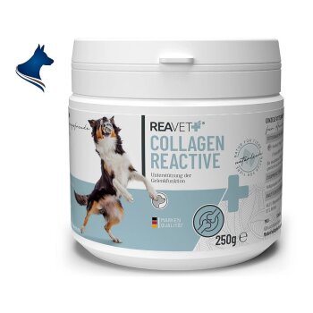 Collagen Reactive (250g)