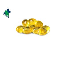 Omega-3 Lachs&ouml;l Kapseln (200Stk)