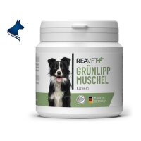 Grünlippmuschel Kapseln (100Stk)