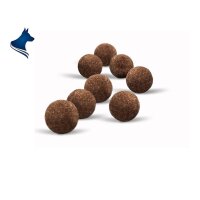 Trüffel - Rind (200g)