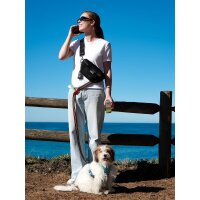 DOOG Leine BEETHOVEN Clip-IT