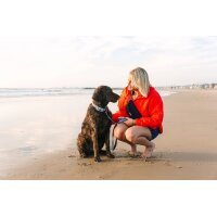 DOOG Leine DASH Clip-IT