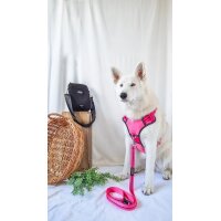 DOOG Leine LADY Clip-IT