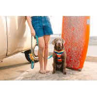 DOOG Leine SCOUT Clip-IT