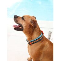 DOOG Neopren Collar Hundehalsband BEETHOVEN L