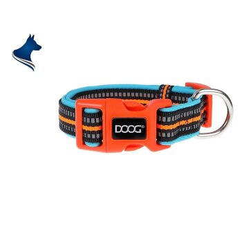 DOOG Neopren Collar Hundehalsband BEETHOVEN S