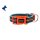 DOOG Neopren Collar Hundehalsband BEETHOVEN S