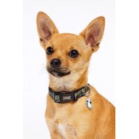DOOG Neopren Collar Hundehalsband BRUISER L