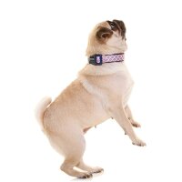 DOOG Neopren Collar Hundehalsband GROMIT L