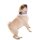 DOOG Neopren Collar Hundehalsband GROMIT L