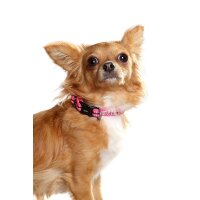 DOOG Neopren Collar Hundehalsband LADY M