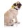DOOG Neopren Collar Hundehalsband ODIE L