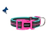 DOOG Neopren Collar Hundehalsband RIN TIN TIN L