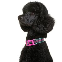 DOOG Neopren Collar Hundehalsband RIN TIN TIN L