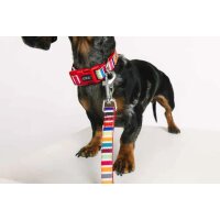 DOOG Neopren Collar Hundehalsband SCOOBY XS