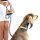 DOOG Neopren Collar Hundehalsband SCOUT S