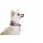 DOOG Neopren Collar Hundehalsband TOTO M