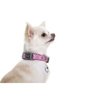 DOOG Neopren Collar Hundehalsband TOTO XS