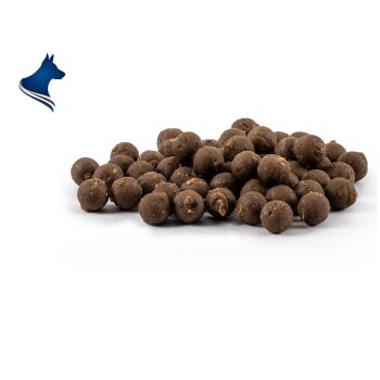 Mini Trainer Balls - Ente (150g)