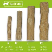 Kaustab aus Kaffeeholz (S)