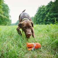 Thadd&auml;us Tintenfisch