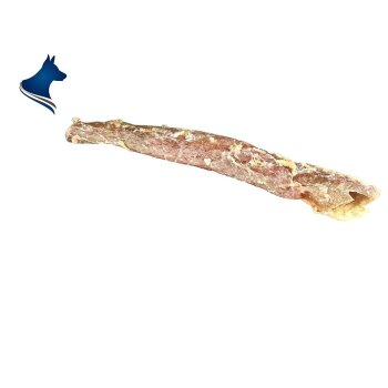 Büffel-Vene (1 Stück)