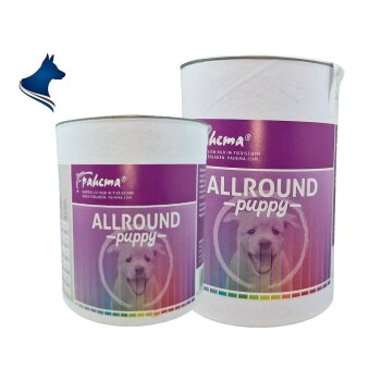 Allround Puppy