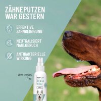Denta Vital Spray (120ml)
