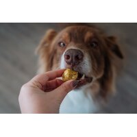 SmoothieDog Bites Huhn