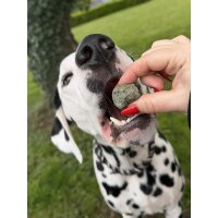 SmoothieDog Bites Lamm