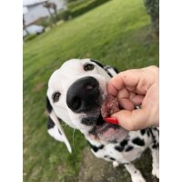 SmoothieDog Bites Rind