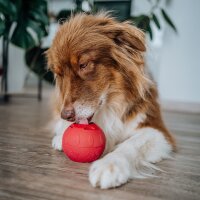 SmoothieDog Schleckball-Set
