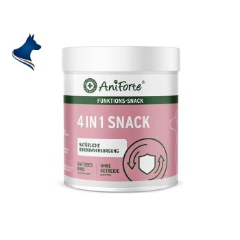 4in1-Snack (300g)