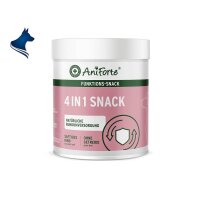 4in1-Snack (300g)