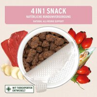 4in1-Snack (300g)