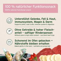 4in1-Snack (300g)